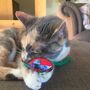 Catnip Cat Mouse Toy, thumbnail 4 of 12