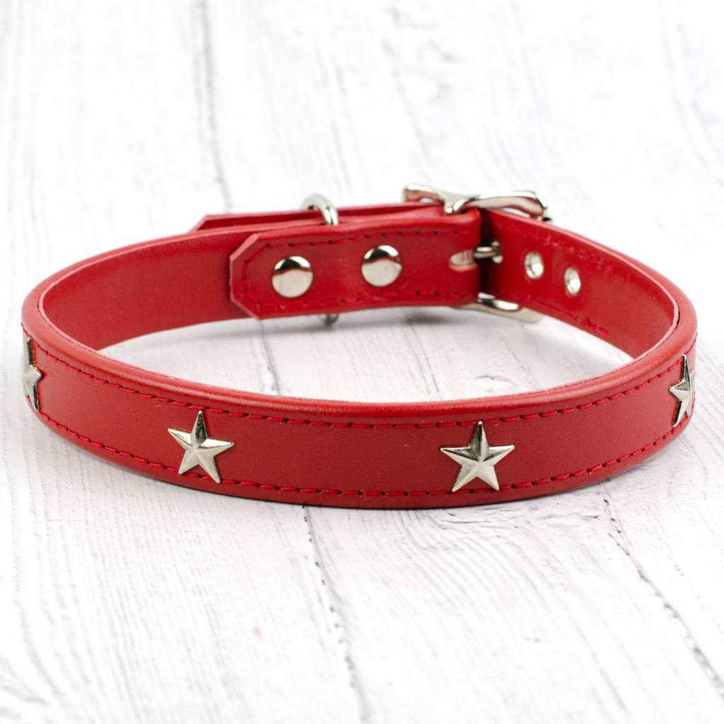 Star Studded Leather Dog Collar By Petiquette Collars