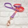 Waterproof Dog Collar And Lead Set Coral/Amethyst, thumbnail 1 of 3