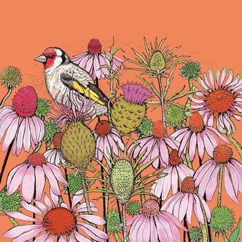 'Goldfinch And Coneflowers' Print, 3 of 3