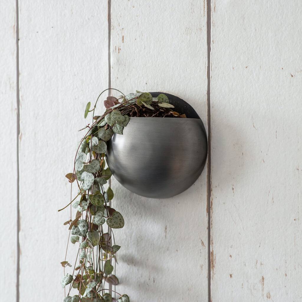 Round Wall Planter, 1 of 2