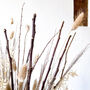 Cotton And Banksia Dried Bouquet, thumbnail 4 of 4
