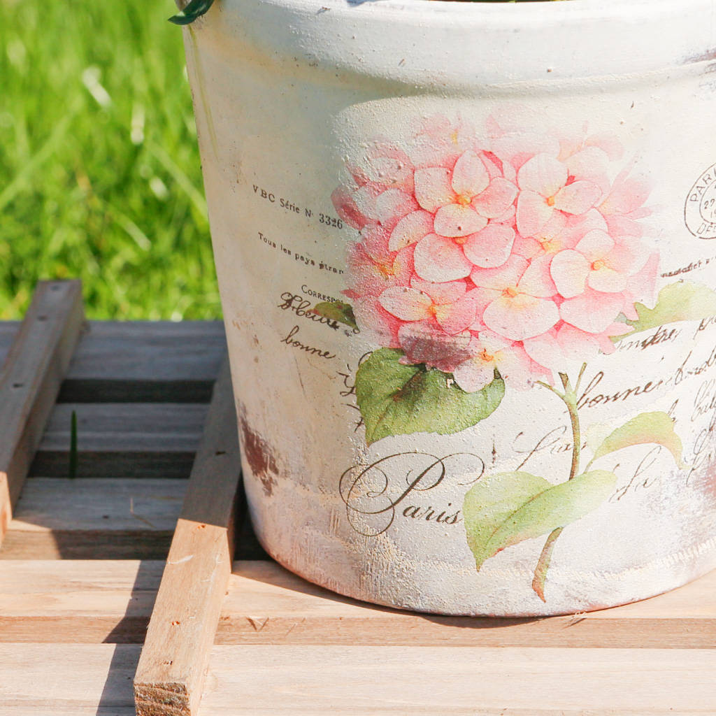 set of three botanical rose plant pots by dibor