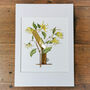 Y Is For Ylang Ylang Illuminated Floral Letter, thumbnail 2 of 6