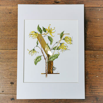 Y Is For Ylang Ylang Illuminated Floral Letter, 2 of 6