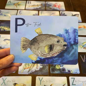 Underwater Children's Alphabet Flash Cards, 2 of 5