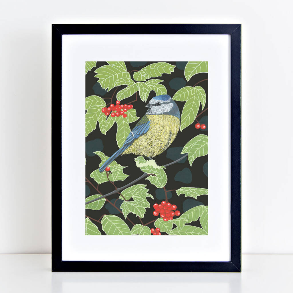 Garden Bird Art Prints 'Choice Of Twelve Designs' By Bird ...