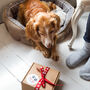 Dog Christmas Eve Box / Day Activity Gift Box, thumbnail 5 of 8