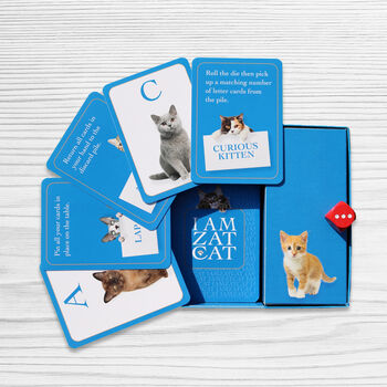 I Am Zat Cat ~ Gift For Cat Lovers Of All Ages / Game About Cats / Cat Themed Gift / Fun Game For Christmas Eve Box, 8 of 9