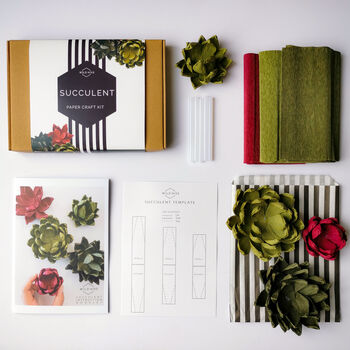 Paper Craft Kit: Succulents, 4 of 8