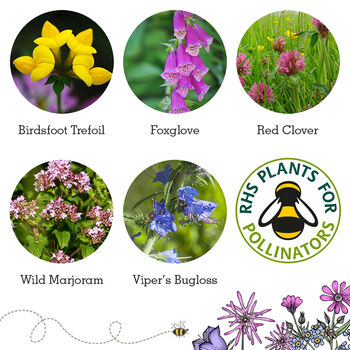Wildlife Collection Wildflower Seeds, 12 of 12