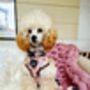 Vintage Bears Gingham Dog Harness With Optional Set, thumbnail 6 of 9