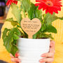 Personalised Gold 'Thank You Teacher' Plant Marker, thumbnail 2 of 7