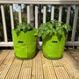 Pair Of Reusable Potato And Vegetable Patio Grow Bags, thumbnail 9 of 12