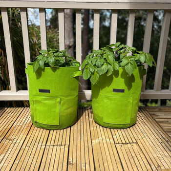 Pair Of Reusable Potato And Vegetable Patio Grow Bags, 9 of 12