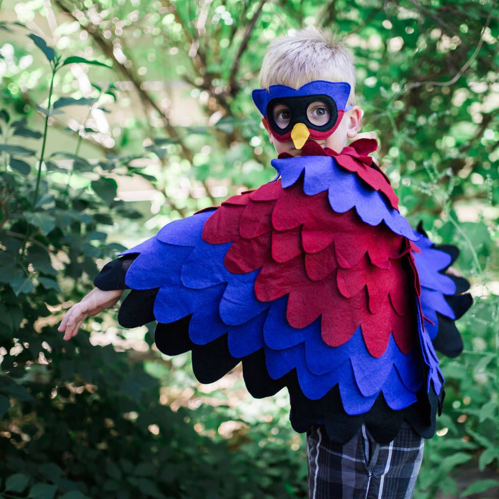 superhero bird mask and wing cape children's costume by bhb kidstyle ...
