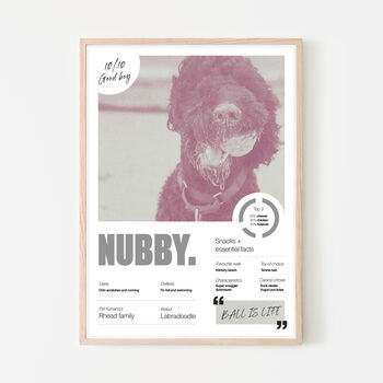 Personalised Dog Portrait Pet Poster Print, 11 of 12
