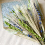 Lavender Bunny Tail Dried Flower Posy Saneco, thumbnail 2 of 7