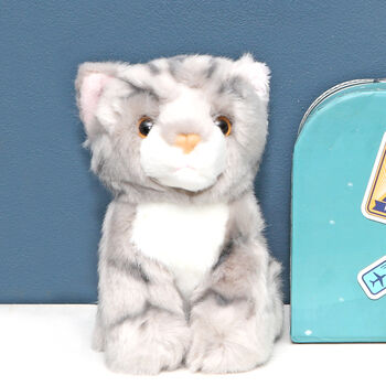 Mini Grey Tabby Cat Toy With Personalised Case, 2 of 3