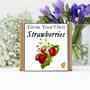 Gardening Gift. Grow Your Own Strawberry Plant Kit, thumbnail 2 of 4