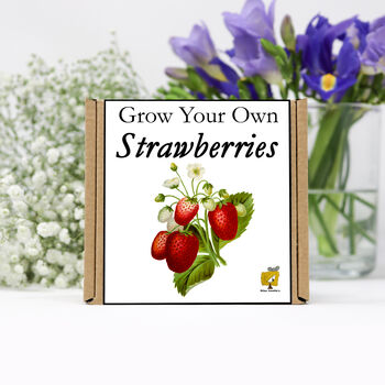 Gardening Gift. Grow Your Own Strawberry Plant Kit, 2 of 4