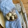 Handmade Miniature Nests With Real Blown Quail Eggs, thumbnail 9 of 9