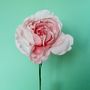 English Rose Paper Flower, thumbnail 2 of 5