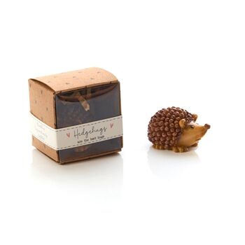 Hedgehog Keepsake Ornament With Gift Box, 4 of 4