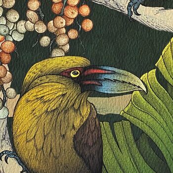 Exotic Canopy Fine Art Print Of Tropical Birds, 3 of 3