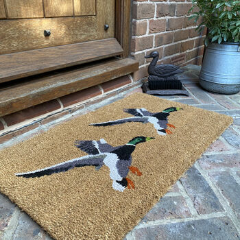 Flying Duck Doormat And Boot Brush Set, 7 of 8