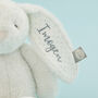 Personalised Light Grey Bunny Soft Toy, thumbnail 2 of 5