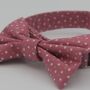 Pink Star Dog Bow Tie, thumbnail 4 of 6