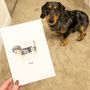 Personalised Illustrated Pet Portrait, thumbnail 6 of 12
