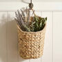 Wall Mounted Storage Baskets, thumbnail 2 of 5