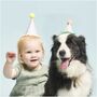 Luxury Pastel Party Hats With Pom Poms X Eight, thumbnail 4 of 4