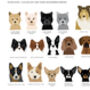Personalised Confetti Dog Breed Birthday Card, thumbnail 7 of 10