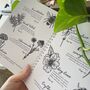 How To Draw Book, Woodland Edition, thumbnail 5 of 8