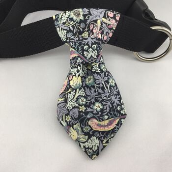 Black Pet Collar Neck Tie , Personalised Pet Gifts, 4 of 8