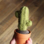 Mini Knitted Cactus In Pot, thumbnail 8 of 9