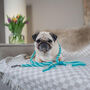 Make Your Own Mint Green Dog Lead Craft Kit, thumbnail 4 of 5