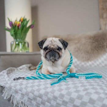 Make Your Own Mint Green Dog Lead Craft Kit, 4 of 5