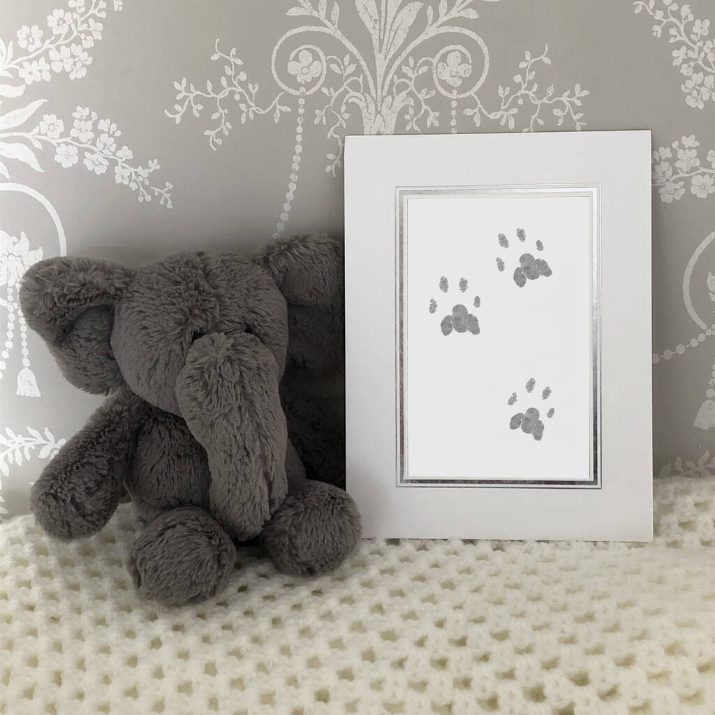 Premium Inkless Pet Paw Print Kit By Little Prints Keepsakes