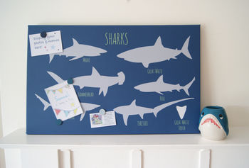 Shark Magnetic Noticeboard, 4 of 4