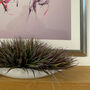 Faux Fountain Grass In Ceramic Bowl, thumbnail 2 of 2
