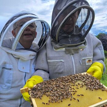 Beekeeping Experience In West Yorkshire, 5 of 6