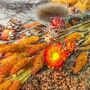 Autumn Dried Flower And Foliage Wreath Kit, thumbnail 5 of 12