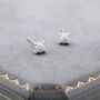 Sterling Silver Mother Of Pearl From The Queen Conch Shell Stud Earrings, thumbnail 3 of 10