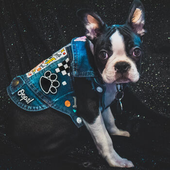 Personalised Hand Painted Dog Denim Jacket, 3 of 12