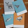 A Pack Of Four Or Eight Mixed Birthday Cards #Four, thumbnail 1 of 5
