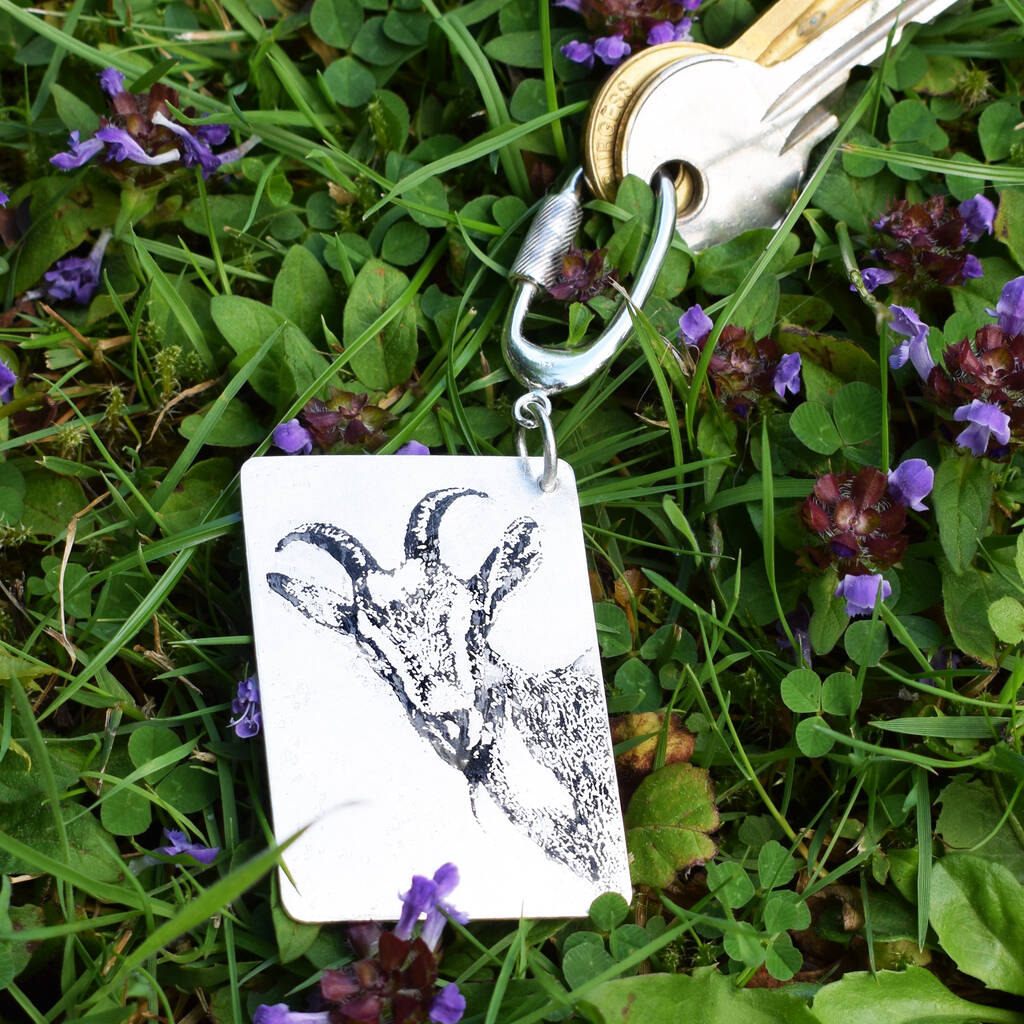 Image of Silver Goat Keyring